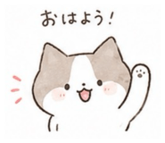844896577