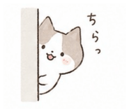 844896580