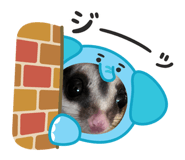 844896718