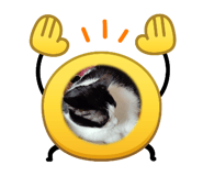844897135