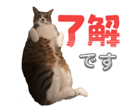 844897489