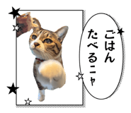 844897496