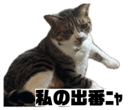 844897524