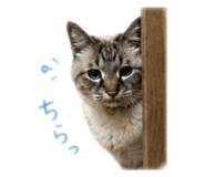 844897809