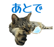 844898208
