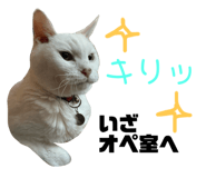844898350