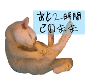 844898354