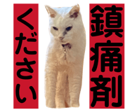 844898355