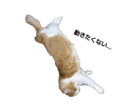 844898456