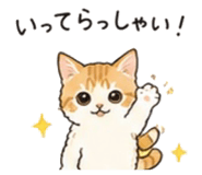 844898681