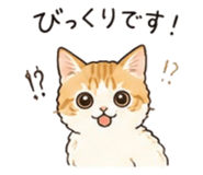 844898685