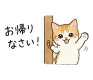 844898699
