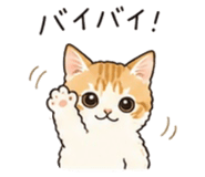 844898704