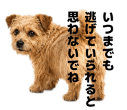 844898957