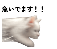 844899265