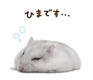 844899396