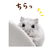 844899406