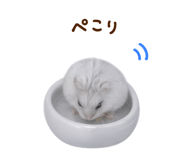 844899407