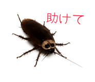 844899777