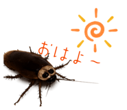 844899778