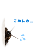 844899784