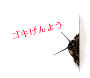 844899786