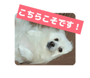 844900647