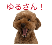 844901135
