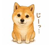 844901328