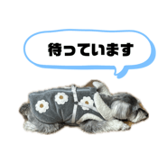 844901598