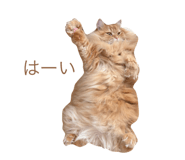844901738