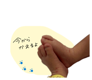 844904244