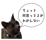 844909766