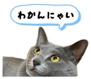 844909770