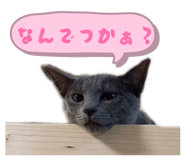844909776