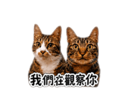 844910975