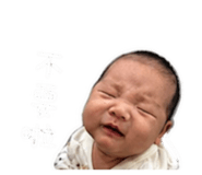 844911334