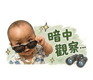 844912446