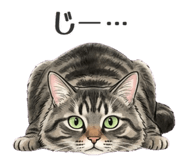844913361