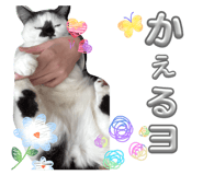 844913939