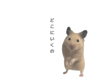 844914139