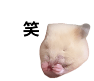 844914166