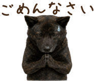 844914224