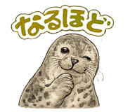 844925081