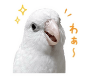 844925413