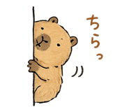 844925924