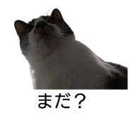 844925942