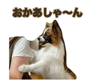 844926905