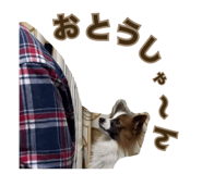 844926906