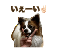 844926912
